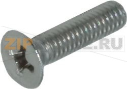 VIS A TETE FRAISEE FILETAGE 