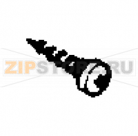 Vite aut. TCB 2,9x19 DIN 7981 C INO Saeco Stratos