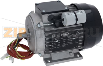MOTOR 