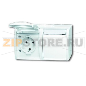 Розетка 16 А, 250 В, IP44, монтаж: открытый, альпийский белый ABB 2CKA002084A0715 