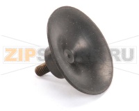 SUCTION CUP