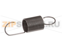 MOLLA DELLO SPORTELLO ANTERIORE 