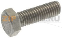 ВИНТ С ШЕСТИГРАННОЙ ГАЙКОЙ M4X12