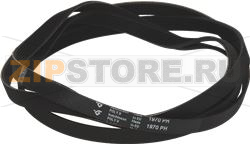 BELT 1970 H7 