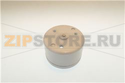 TAZZA 