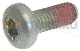 VITE A TESTA CILINDRICA 