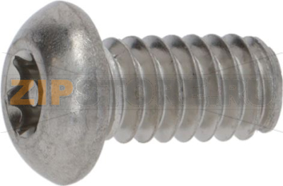 SCREW 