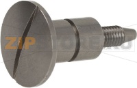 SCREW LH M5 STAIN.STEEL DOOR GLASS FIX.