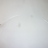 ТРУБКА PTFE Ø 2X4 - 325 MM - ТРУБКА PTFE Ø 2X4 - 325 MM