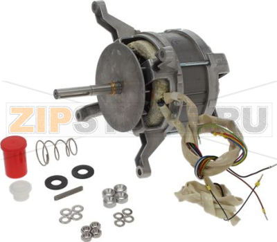 MOTOR 