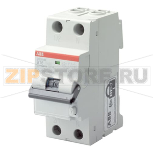Выключатель дифференциального тока, автоматический, DS202C C13 A300 ABB 2CSR252140R3134 