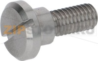SHAPED STAINLESS STEEL SCREW M5x10