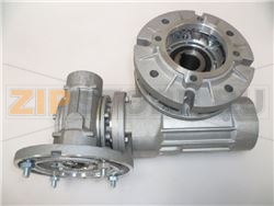 RIDUTTORE SOLLEVAMENTO 