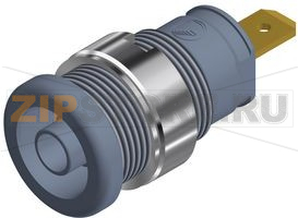 Гнездо 25 А, 1 кВ, серое Hirschmann SEB 2610 F48 GRAU / GREY 