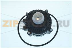 Fan motor 