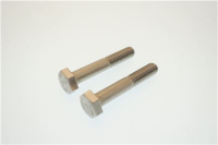 SCREW H M10X60 STLESS STL (SET X2)
