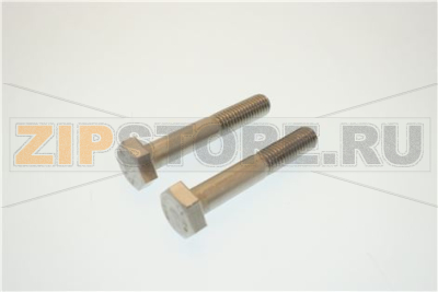 SCREW H M10X60 STLESS STL (SET X2) 
