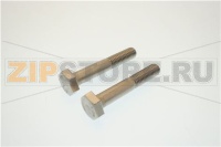 SCREW H M10X60 STLESS STL (SET X2)