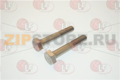 SCREW H M10X60 STLESS STL (SET X2) 