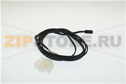 SONDA 