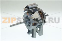 МОТОР HP 50ГЦ
