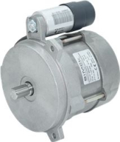 MOTOR FHP 230V 65W