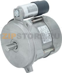 MOTOR FHP 230V 65W 