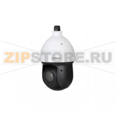 IP-камера Dahua DH-SD49425XB-HNR-G 