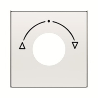 Накладка для выключателя с ключом, альпийский белый ABB 2CLA855310A1101