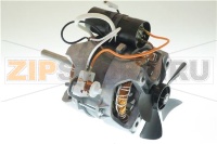 MOTOR 230-240V 50Hz