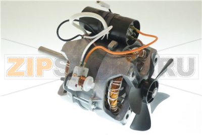 MOTOR 230-240V 50Hz 