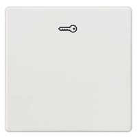 DELTA I-SYSTEM ТИТАНОВО-БЕЛЫЙ ВЫКЛЮЧАТЕЛЬ 1 КЛАВИША С СИМВОЛОМ "КЛЮЧ" 55X55MM Siemens 5TG6208