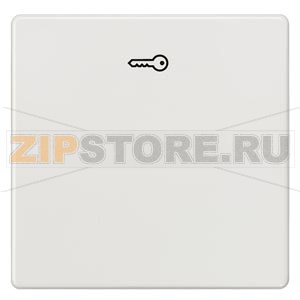 DELTA I-SYSTEM ТИТАНОВО-БЕЛЫЙ ВЫКЛЮЧАТЕЛЬ 1 КЛАВИША С СИМВОЛОМ &quot;КЛЮЧ&quot; 55X55MM Siemens 5TG6208 