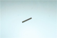SPINA ELASTICA