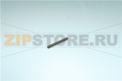 SPINA ELASTICA 