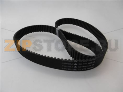CINGHIE DENTATE HTD 