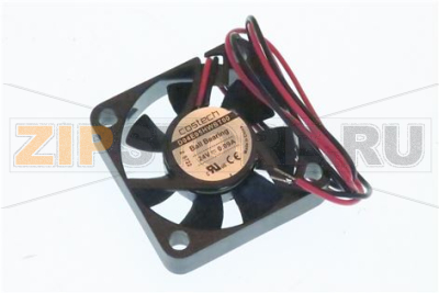 Display Fan Classe 11 