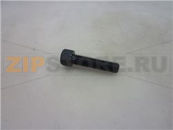 VITE A TESTA CILINDRICA M12x50 