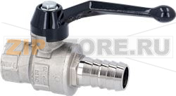 BALL VALVE ø 3/4 F 