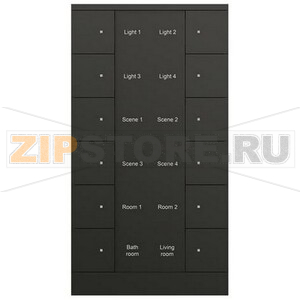 Элемент управления, 12-клавишный, SB/U12.0.1-885, чёрный ABB 2CKA006330A0079 