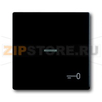 Клавиша выключателя/переключателя/кнопки с символом "Ключ" ABB 2CKA001751A3046