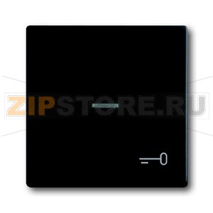 Клавиша выключателя/переключателя/кнопки с символом "Ключ" ABB 2CKA001751A3046 