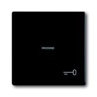 Клавиша выключателя/переключателя/кнопки с символом "Ключ" ABB 2CKA001751A3046