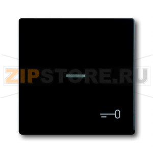 Клавиша выключателя/переключателя/кнопки с символом &quot;Ключ&quot; ABB 2CKA001751A3046 