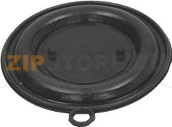 WATER HEATER GASKET SAUNIER DUVAL 