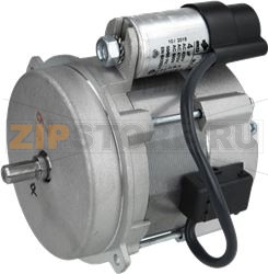MOTOR FHP 230V 85W 