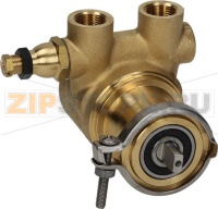 НАСОС ОБЪЕМНЫЙ ROTOFLOW Ø 3/8" GAS