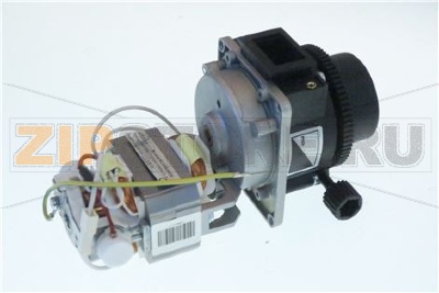 MACINACAFFE&amp;#039; 252A2009Q 