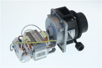 MACINACAFFE&#039; 252A2009Q