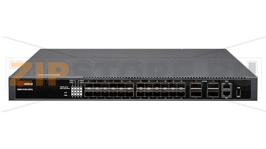 QSW-5100-28FQ 